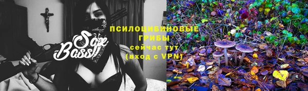 a pvp Липки