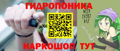 индика Берёзовский