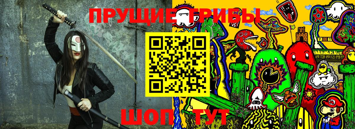 где продают   Псилоцибиновые грибы Cubensis  Вход с VPN  Дюртюли 