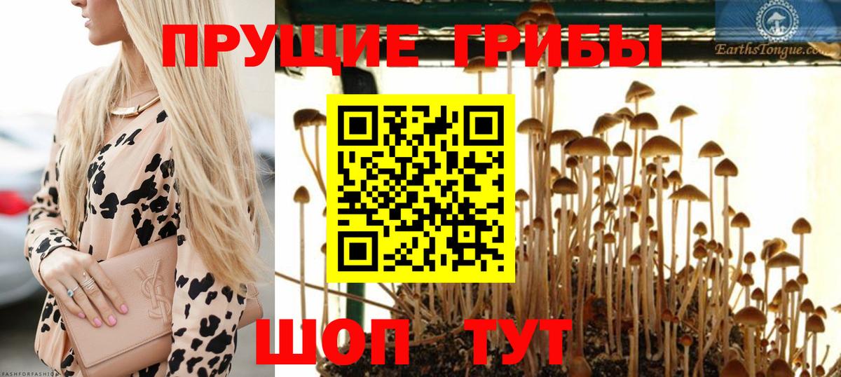 Галлюциногенные грибы Magic Shrooms Дюртюли
